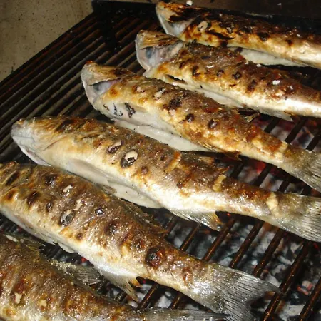 Tonka Διαμέρισμα